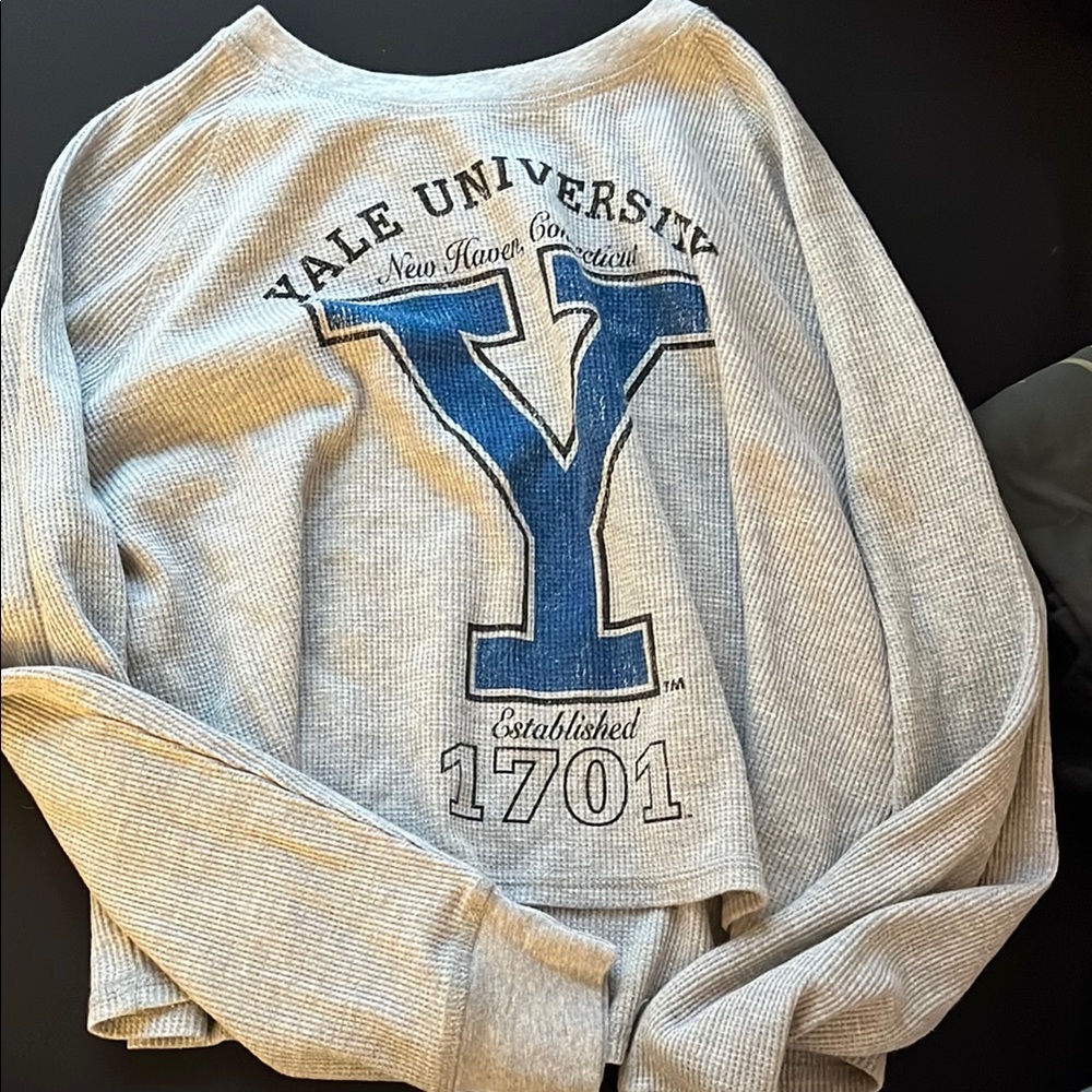 Gray and Blue Collegiate Hoodie with Yale University Design